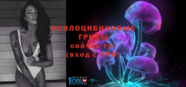 таблы Дмитровск