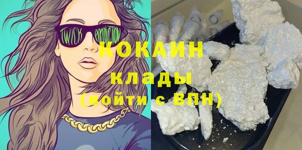 шишки Дмитров