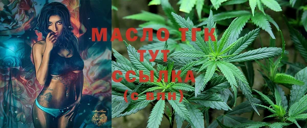 шишки Дмитров