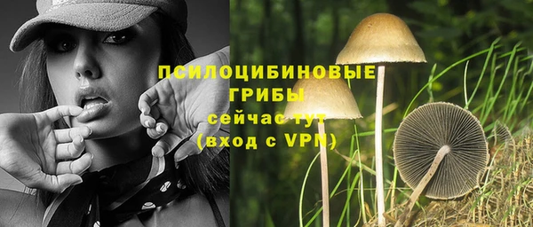 шишки Дмитров