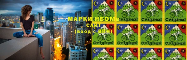 шишки Дмитров